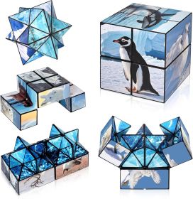 2 in 1 Magic Cube Set, Fidget Toy for Kids Adults